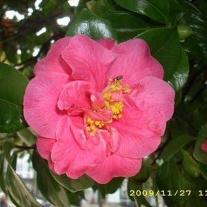 Meet your Posher, Terry